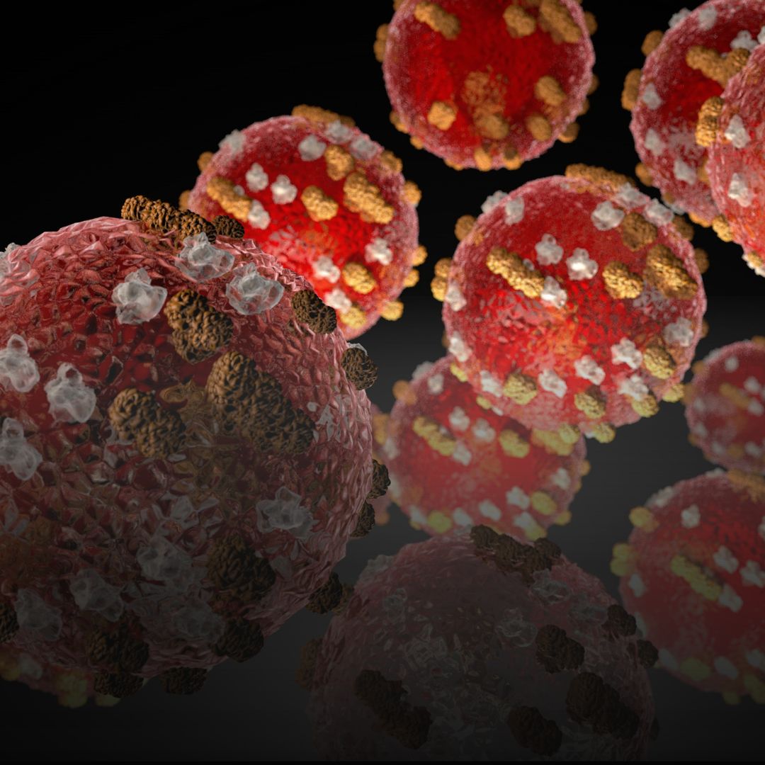 A visual of the measles virus - red circles with white spots on them